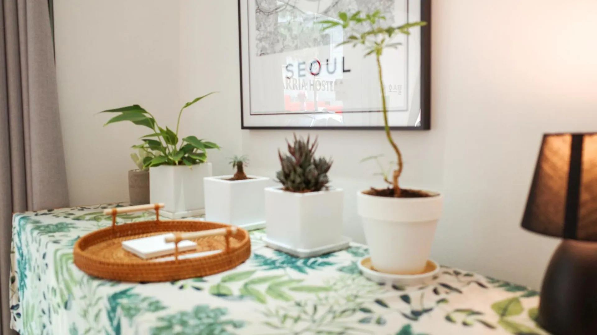Guest house Starria Hostel Seoul