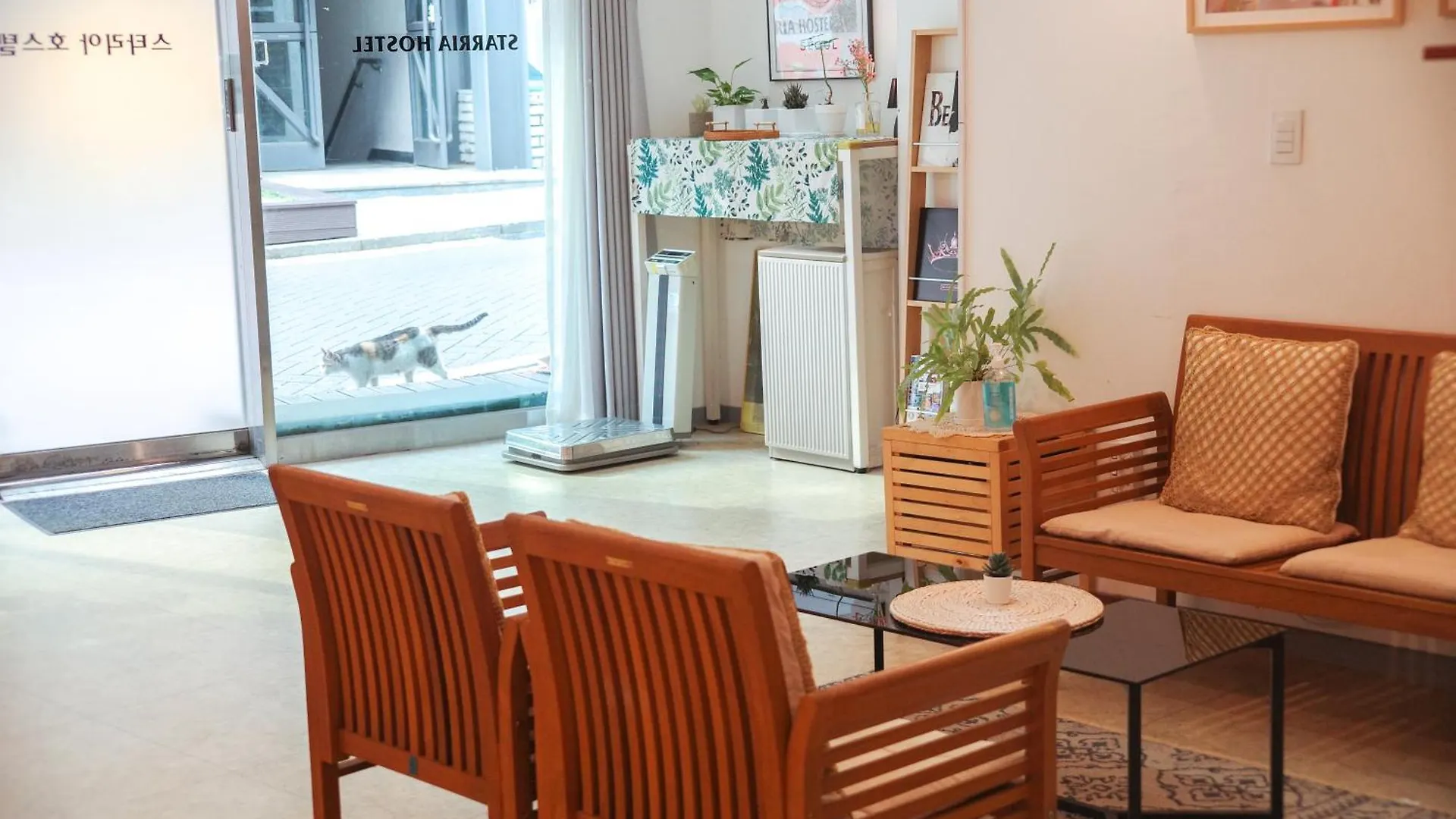 Starria Hostel Seoul