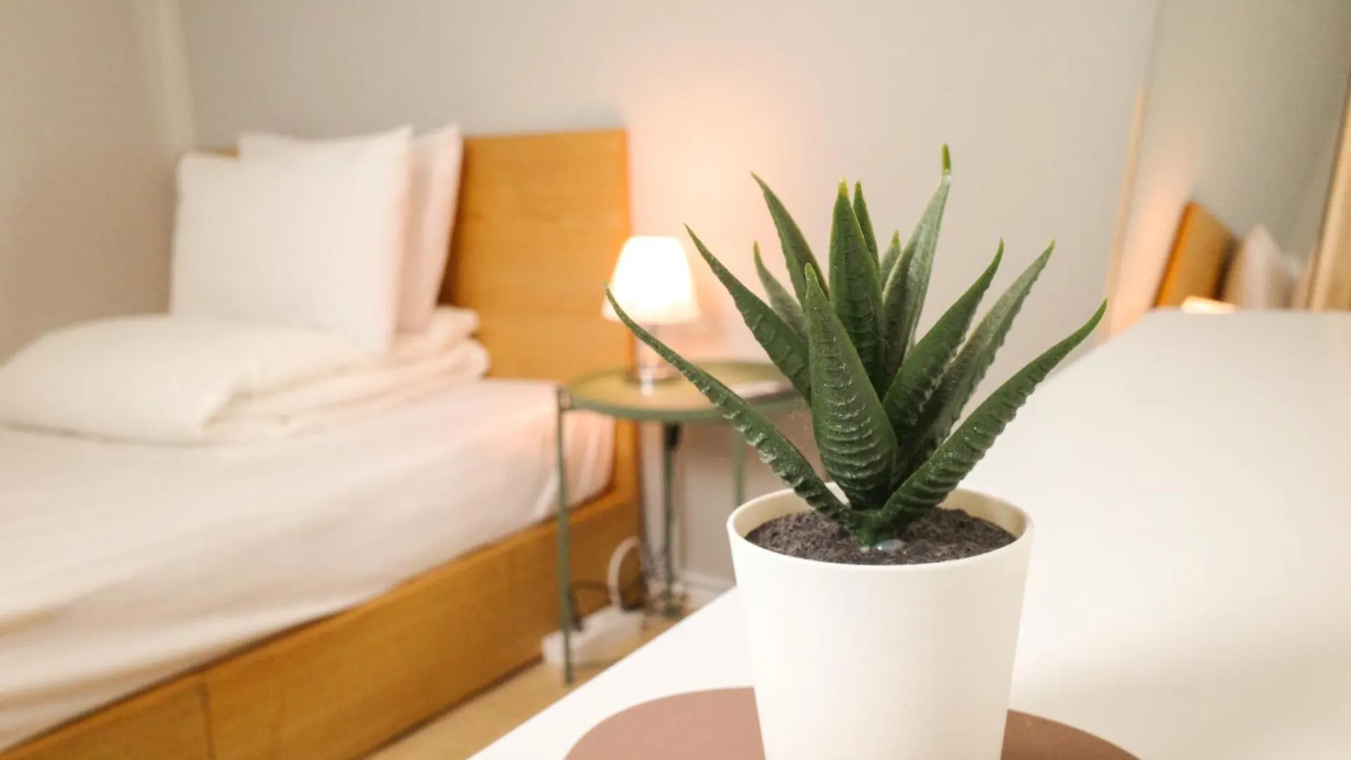 Guest house Starria Hostel Seoul