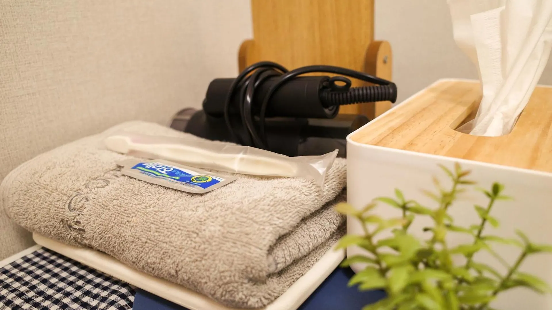 Guest house Starria Hostel Seoul