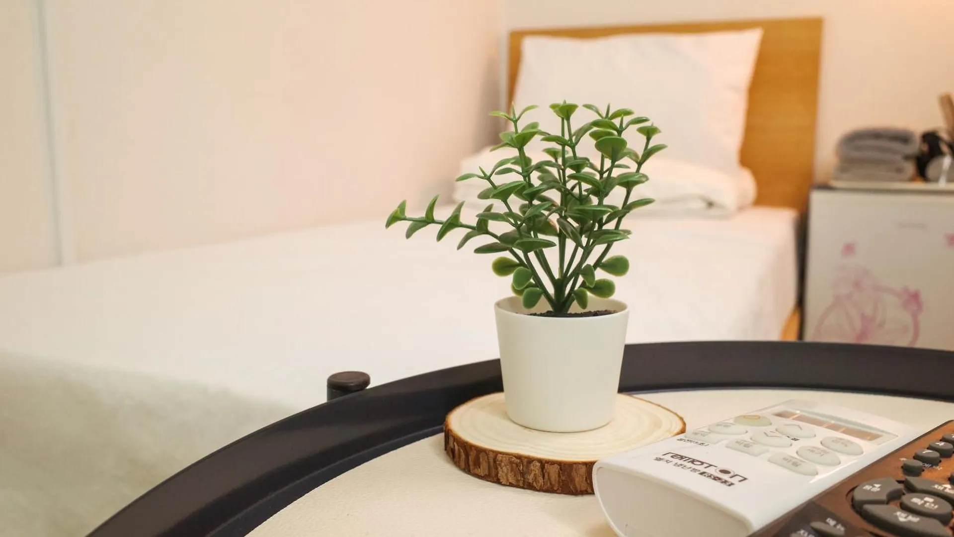 ** Guest house Starria Hostel Seoul South Korea